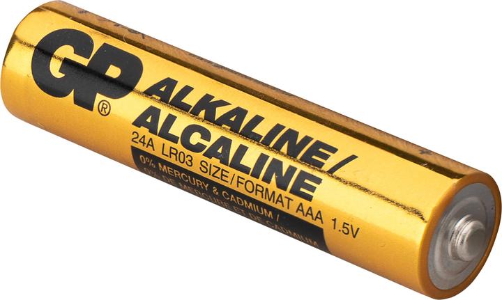 GP GN24A AAA alkaline battery (LR03)